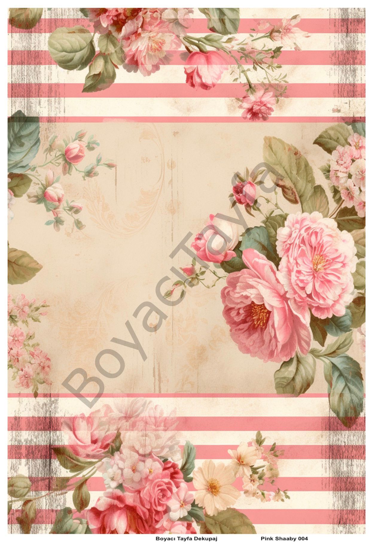 Pink Shaaby 004