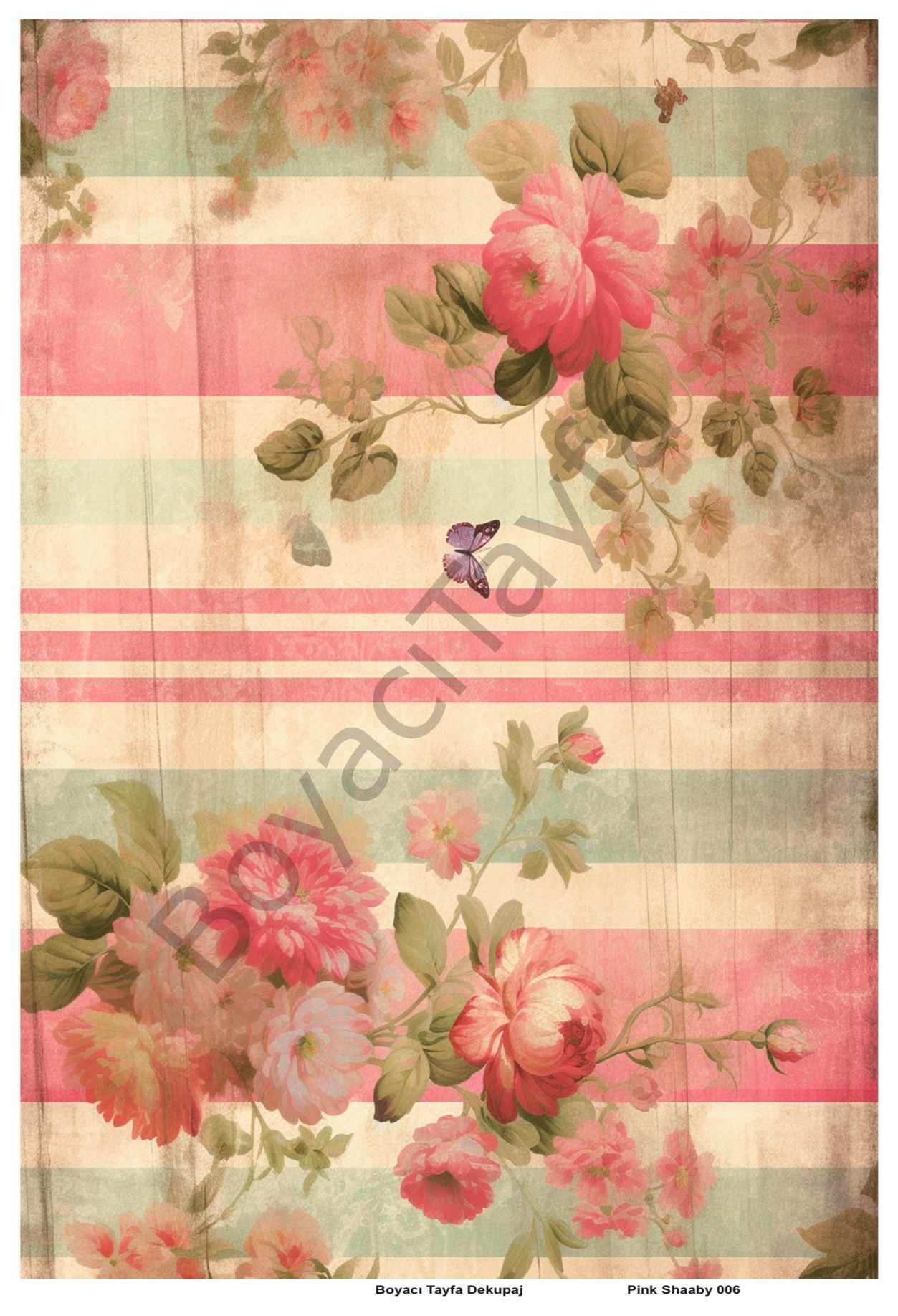 Pink Shaaby 006
