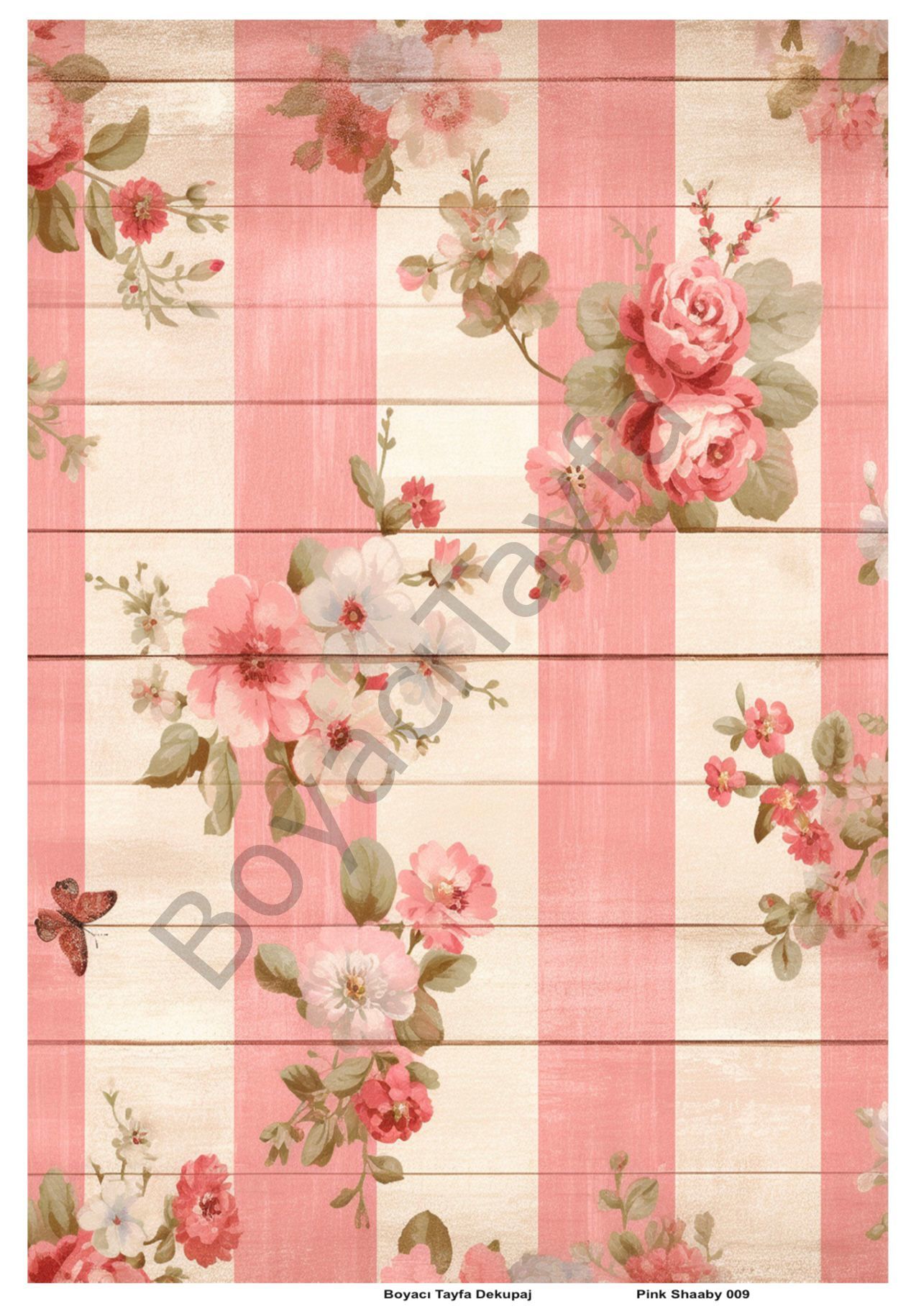 Pink Shaaby 009