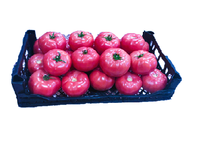 Domates Pembe