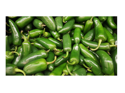 Biber Jalapeno (Balık Biber)
