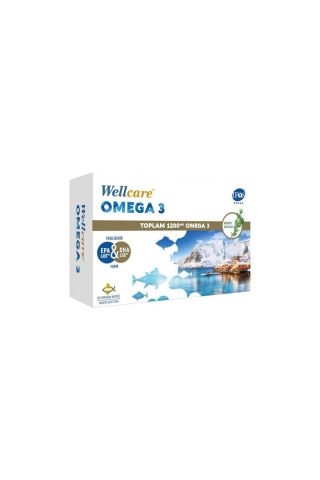 Wellcare Omega 3 Balık Yağı 1200 mg 30 Kapsül