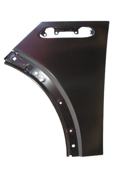 MINI COOPER- 02/05; ÖN ÇAMURLUK DELİKLİ SOL (TW) (Oem No: 41217037437) TST8723