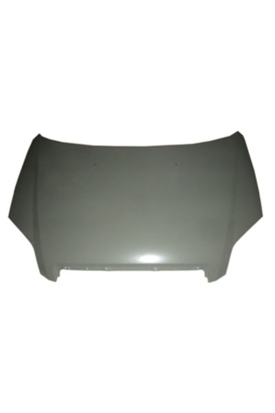 Chevrolet Aveo Sd 07/12 Motor Kaputu Gri Boyalı (İceli/çekomastikli) (Sımyı)