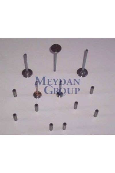 Hyundai H100 Minibüs 94/96 Egzost Supapı (D4ba) 2.5cc (Arm)