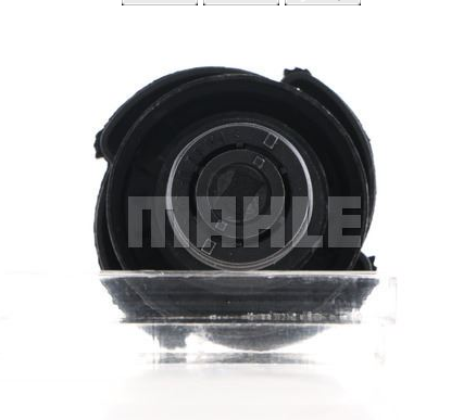 Bmw Radyatör Kapağı M43 E46 17117639022