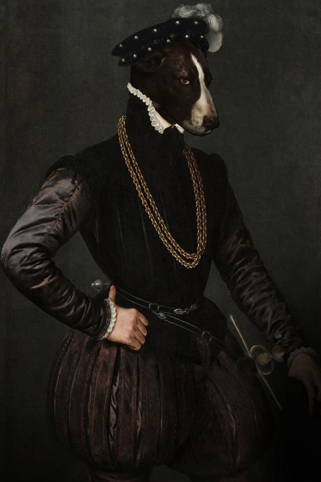 Greyhound portrait