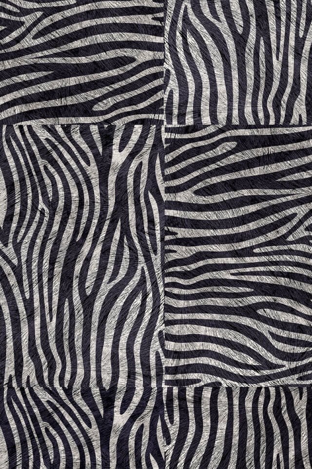 Zebra screen