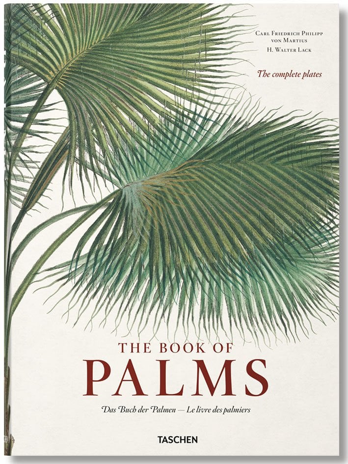 THE BOOK OF PALMS