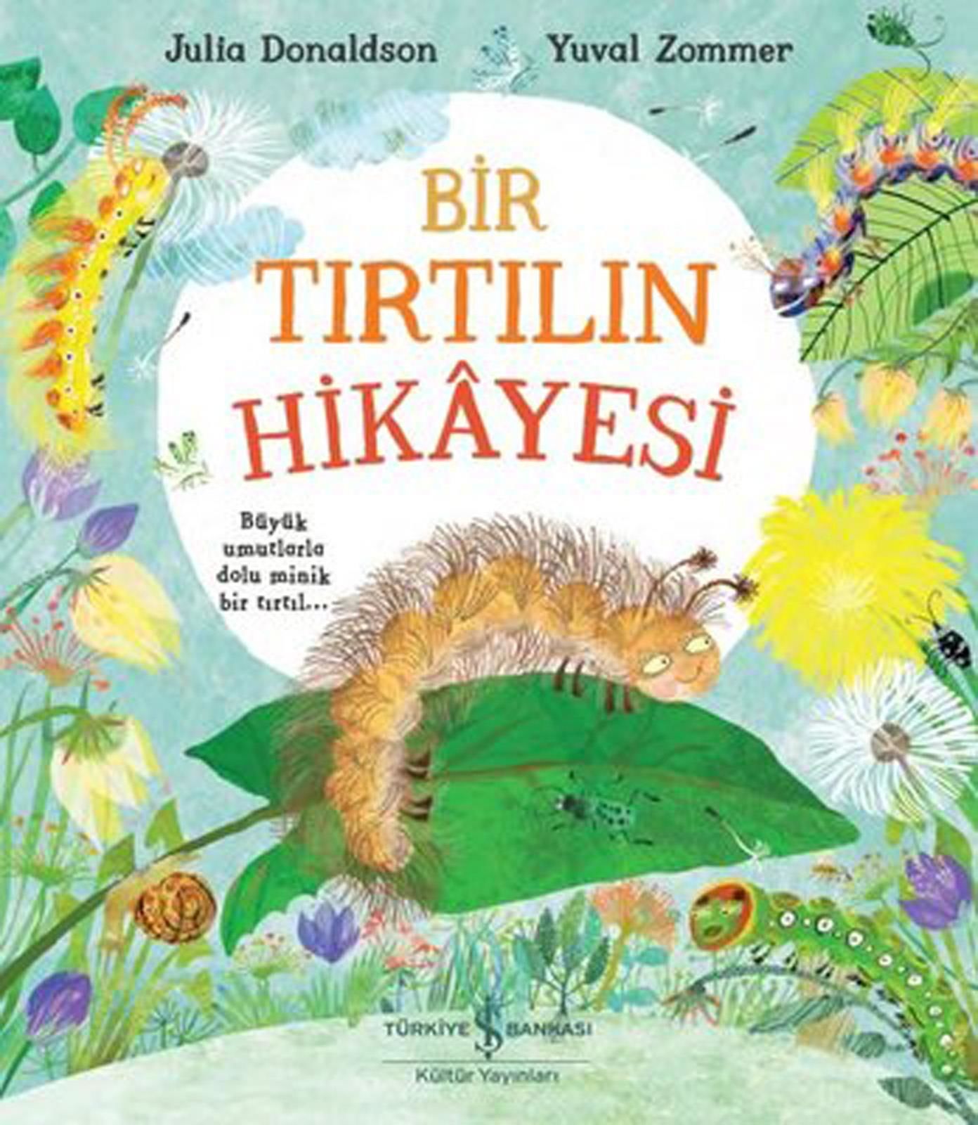 Bir Tırtılın Hikayesi