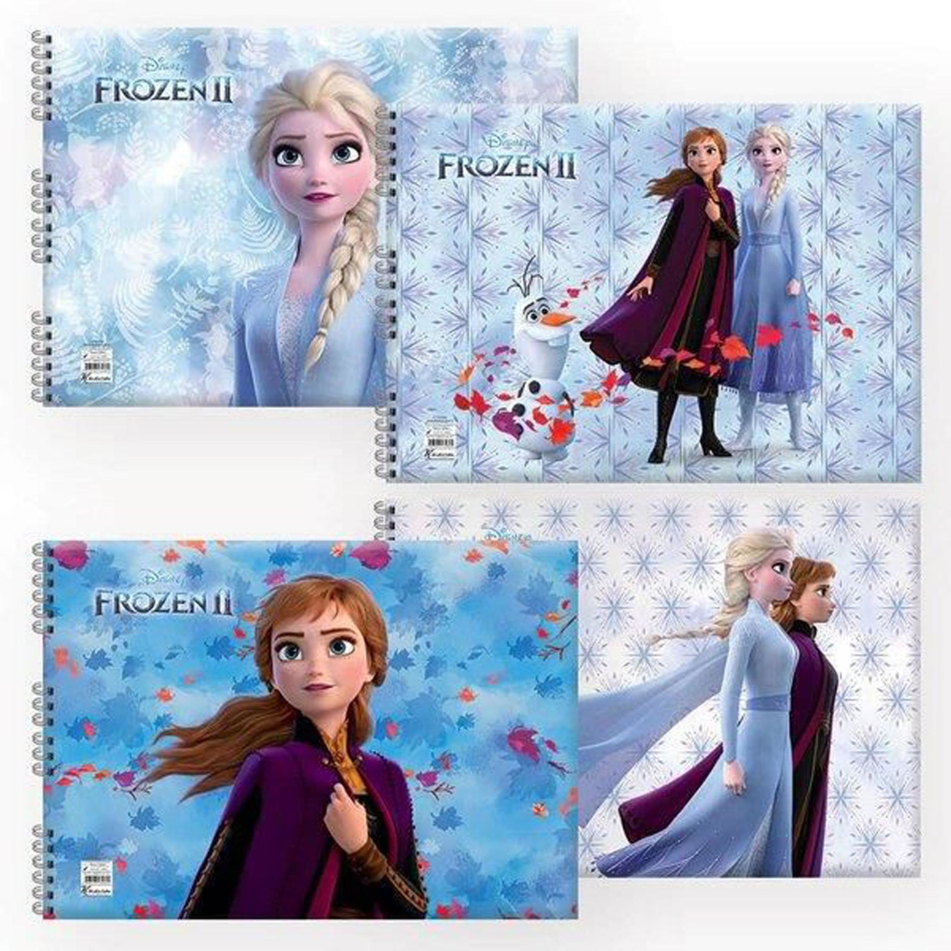 Keskin Frozen-2 35*50 Spiralli 15 Yaprak Resim Defteri 300315-92