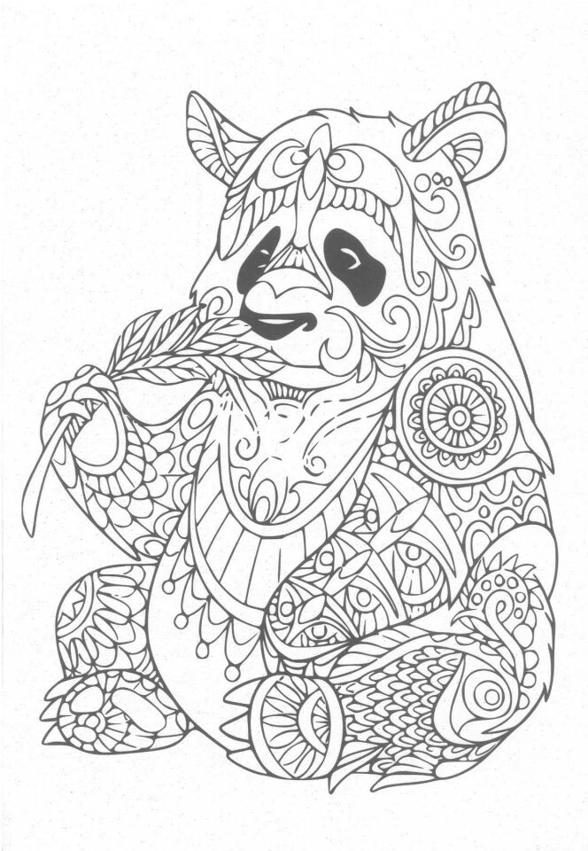 Sözen 25X35Cm Panda Desenli Tuval (1 Adet)