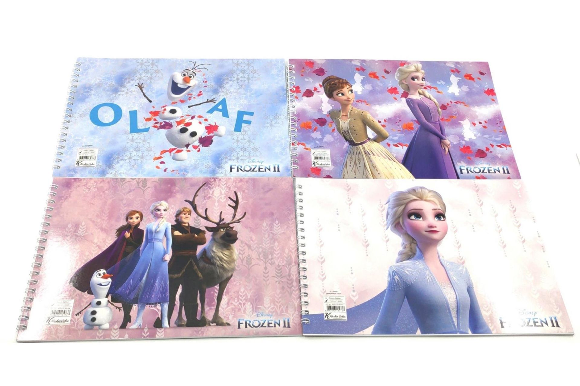 Keskin Frozen-2 17*25 Spiralli 15 Yaprak Resim Defteri 300115-92