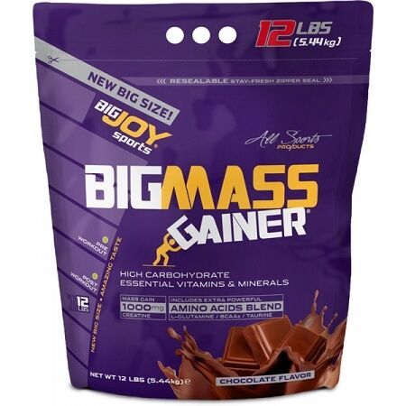 BIGJOY BigMass Gainer 5.44 Kg Çikolata / Çilek
