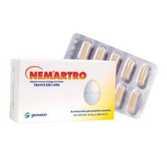 Nem Artro 500 MG 30 Kapsul