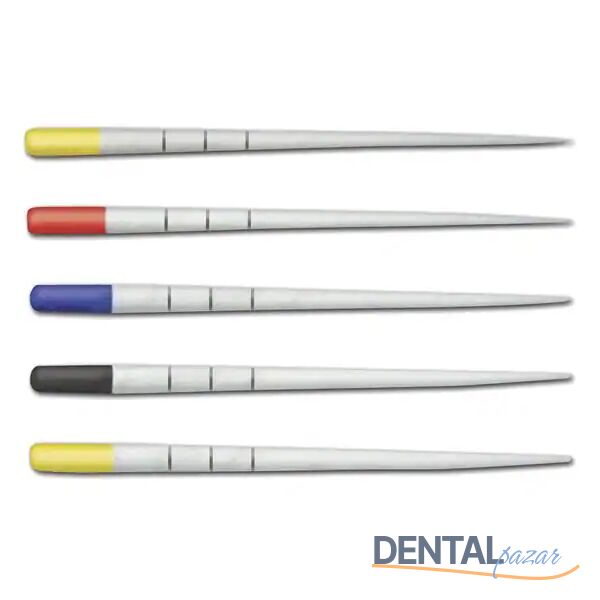 Protaper Üniversal Paper Points