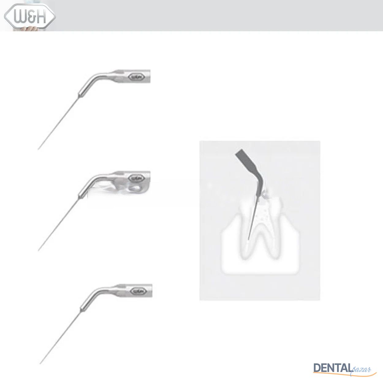 Kavitron-Scaler Uçları- Endo Uç Set