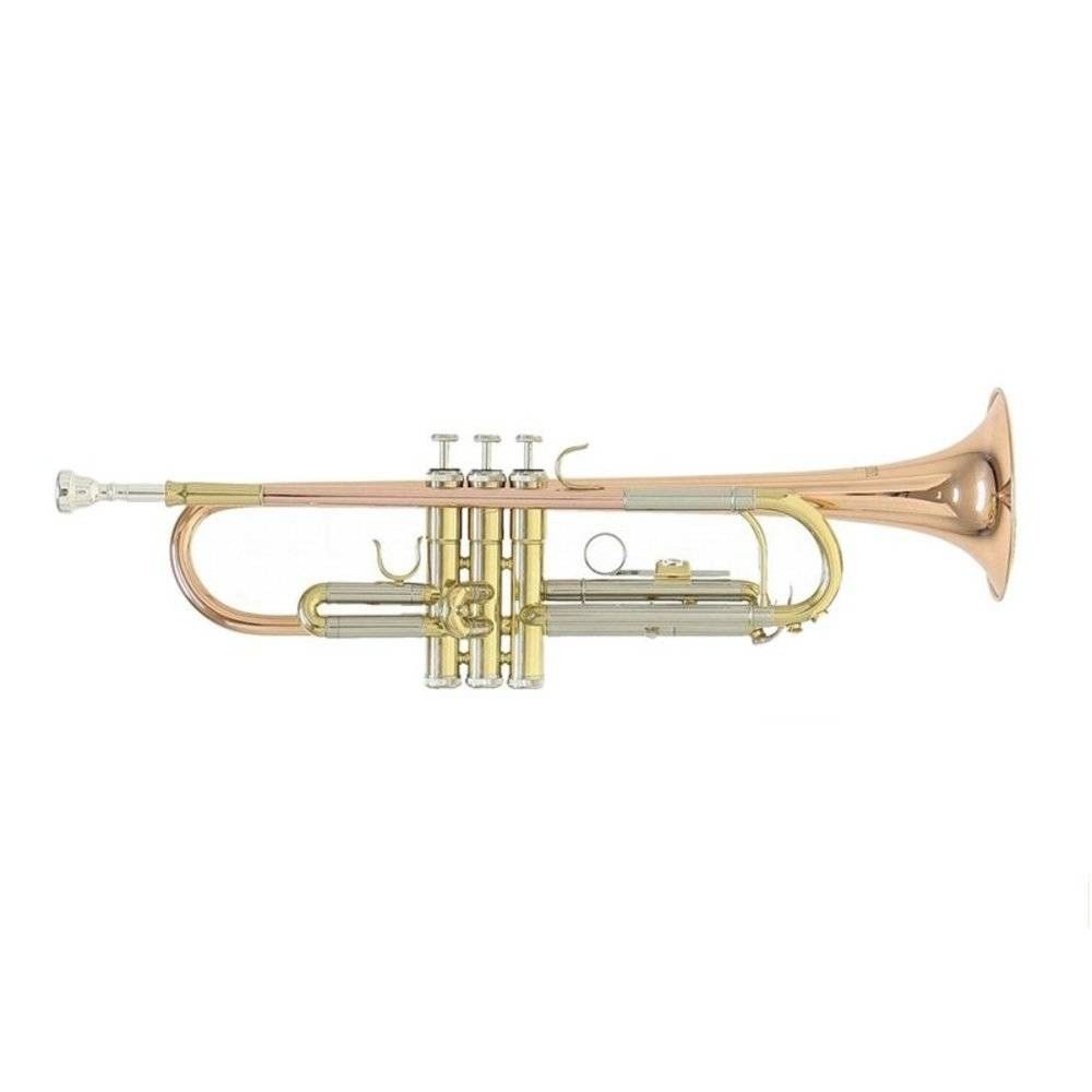 Roy Benson TR-202G Bb Trompet