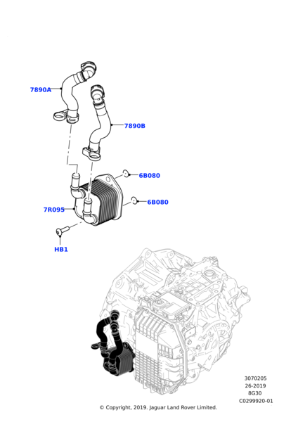 LR127826 - ŞANZIMAN YAĞ SOĞUTUCU (1.5 BNZ EVOGUE) - Land Rover