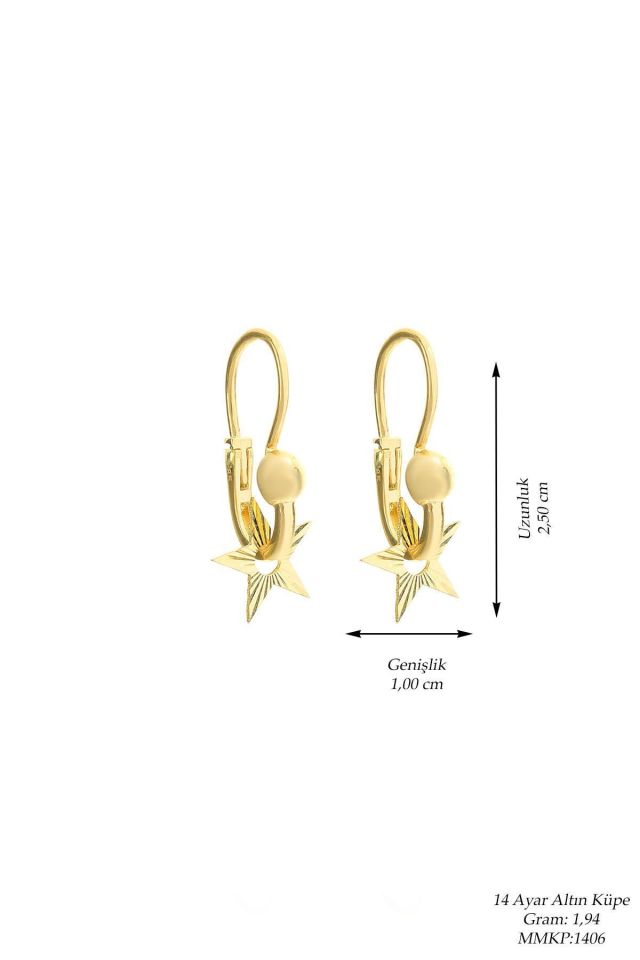 MOOM MÜCEVEHRAT Yıldız Modelli Kalemli Pır Pır-14 Ayar Altın Küpe Modeli 1,90 gr