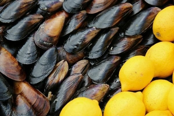Midye Dolma Kaç Kalori? Lezzetin Enerji Değeri