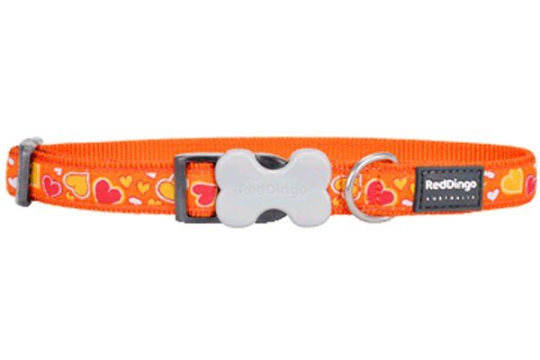Red Dingo Breezy Love Desenli Köpek Boyun Tasması Turuncu 15 Mm