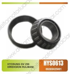 HYOSUNG GV 250  DİREKSİON RULMANI