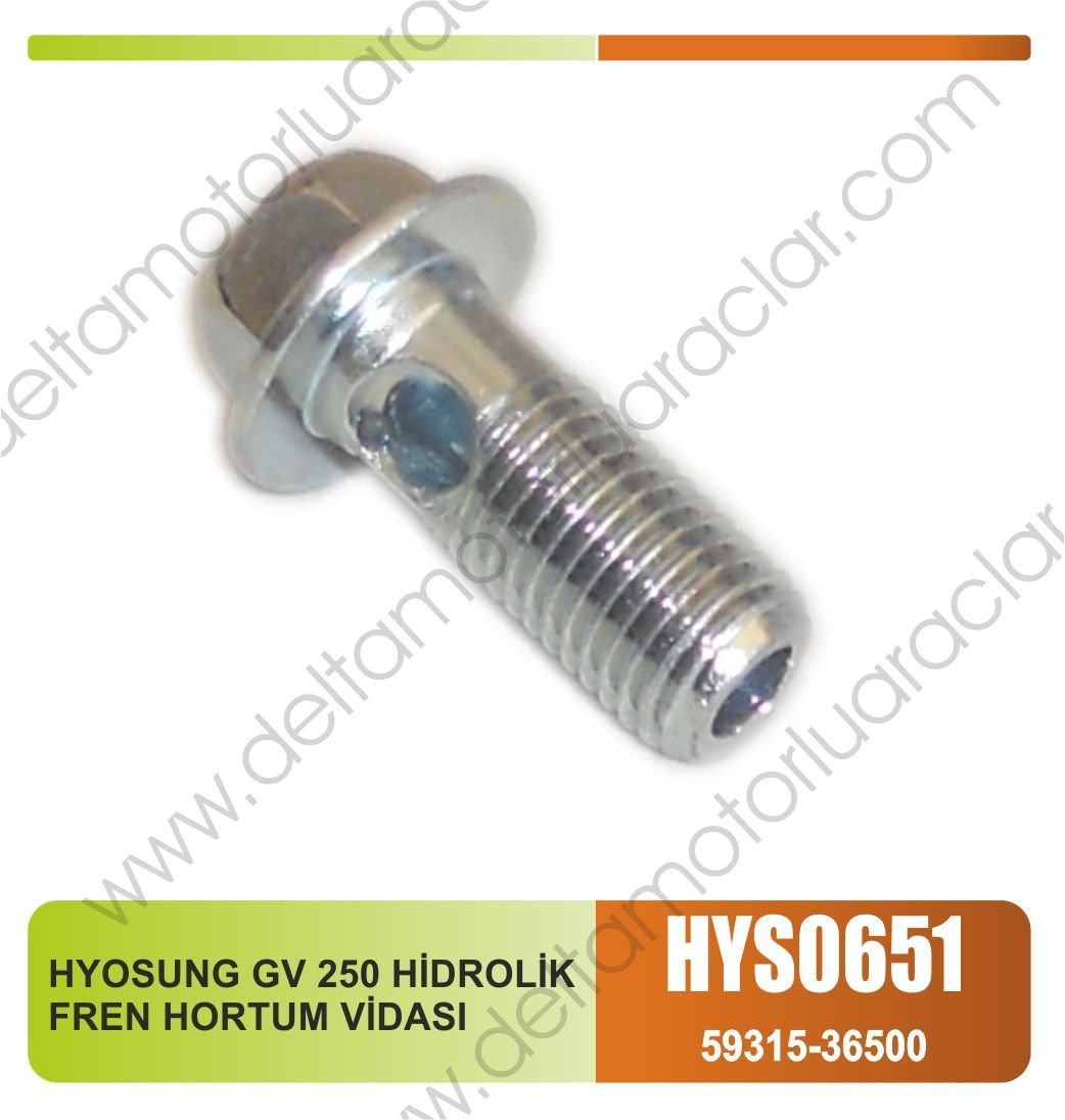 HYOSUNG GV 250 HİDROLİK FREN HORTUM VİDASI