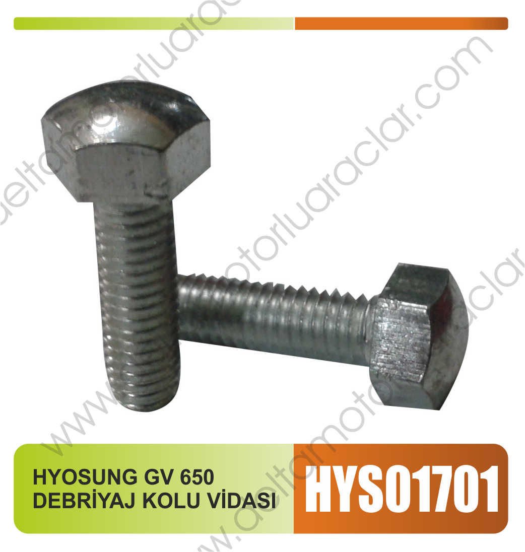 HYOSUNG GV 650 DEBRİYAJ KOLU VİDASI