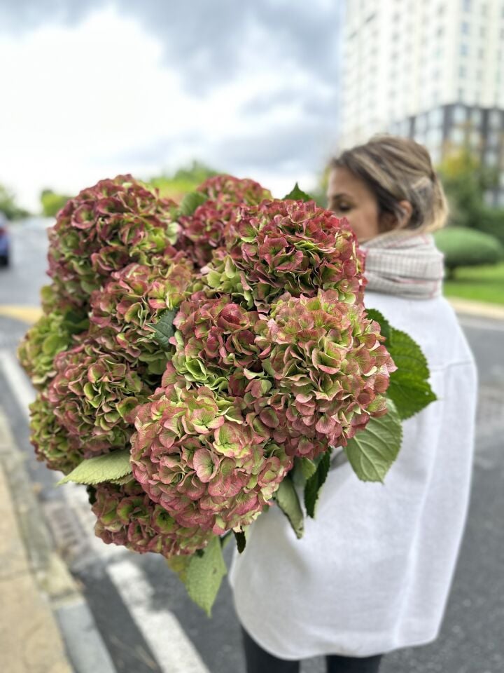 Sonbahar Renklerinde Ortanca Buketi