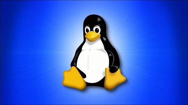Kali Linux Dosya Bakımı Komutları: Örneklerle Detaylı Bir Kılavuz