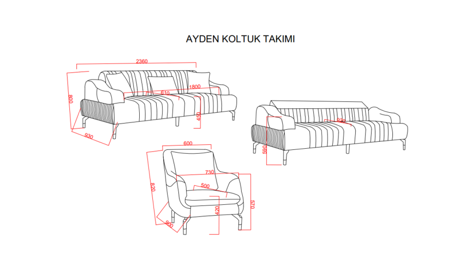 AYDEN KOLTUK TAKIMI