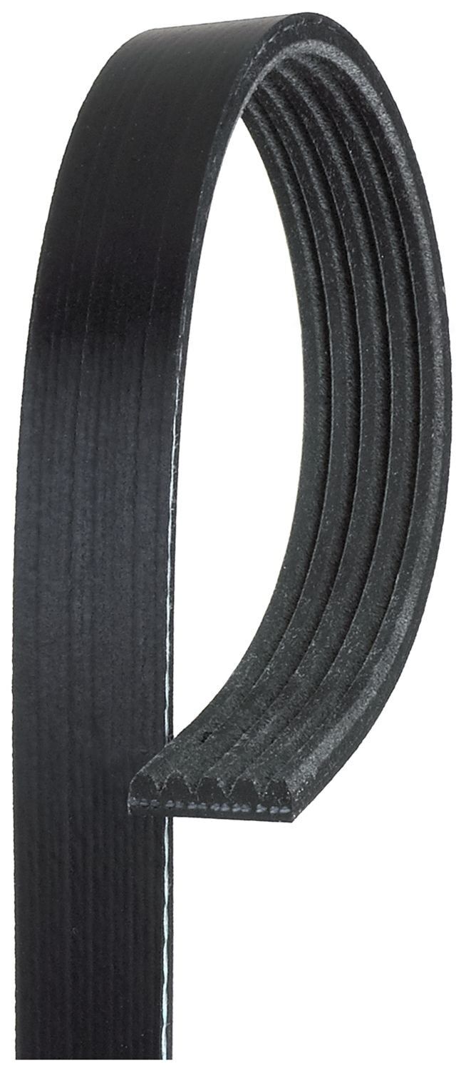 GATES KAYIŞ (5PK1288)