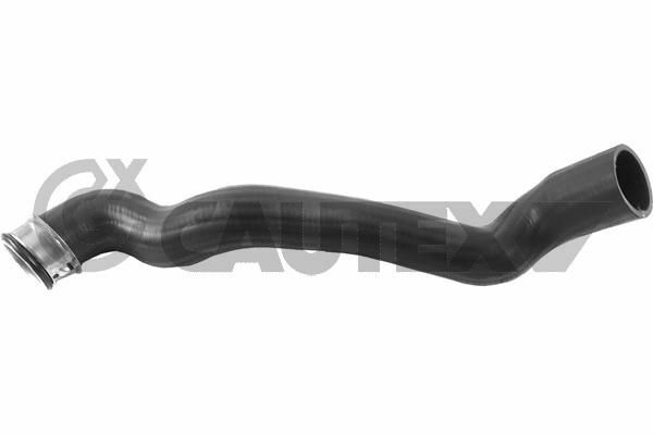 Üçpa M203 Rad Hortumu Alt (A2035010282)