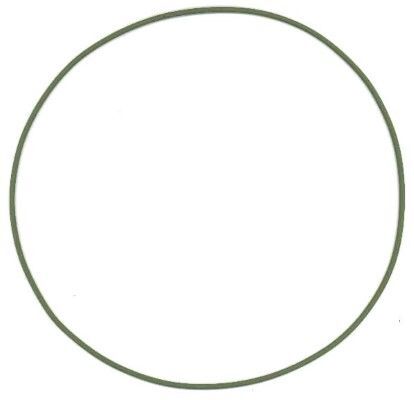 Elring Silindir Gomleğı Oring (A0159979048)