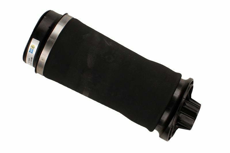 Kyburg Amortisör Körüğü W251 (A2513200425)