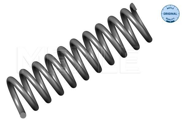 Meyle Helezon Yayı Arka W124 (A1243241104)