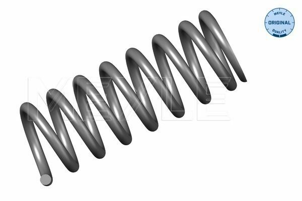 Meyle Helezon Yayı Arka W140 (A1403241304)