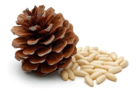 Pine Nuts 25 Kg