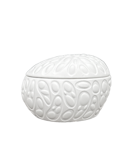 Rex Egg Kapak L 14x 12 x 4