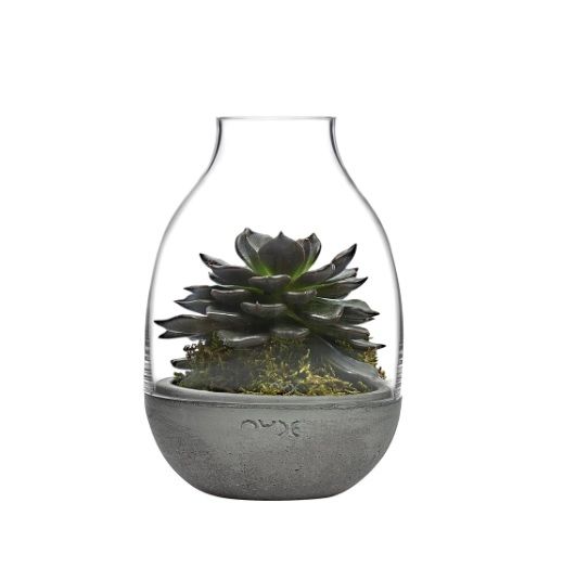 Paşabahçe Nude Small Size Terrarium with Concrete Base - 15531