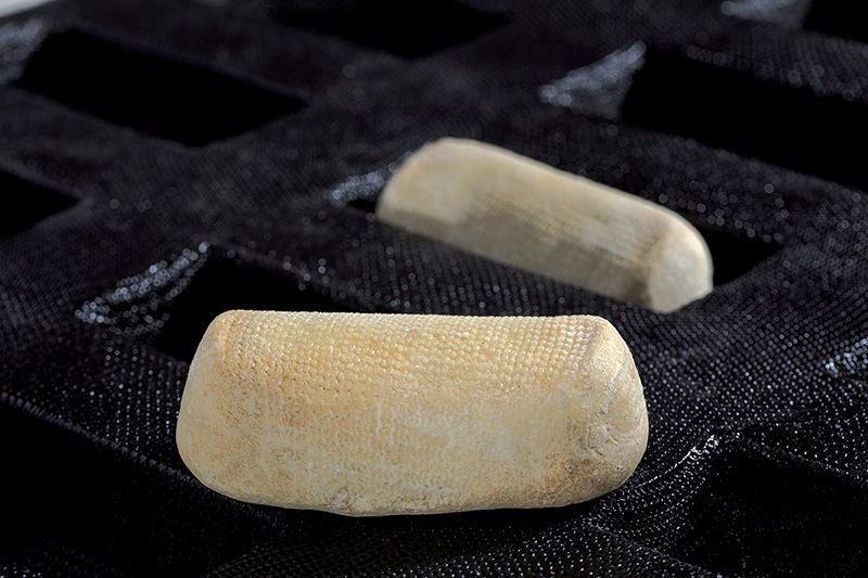 قالب كيك مستطيل من ديمارل فليكسيبان