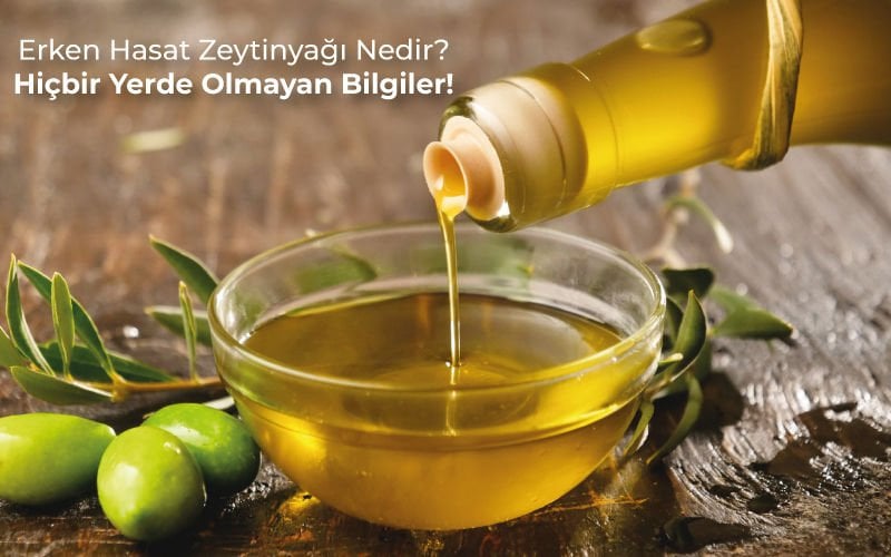 Erken Hasat Zeytinyağı Nedir? Hiçbir Yerde Olmayan Bilgiler!
