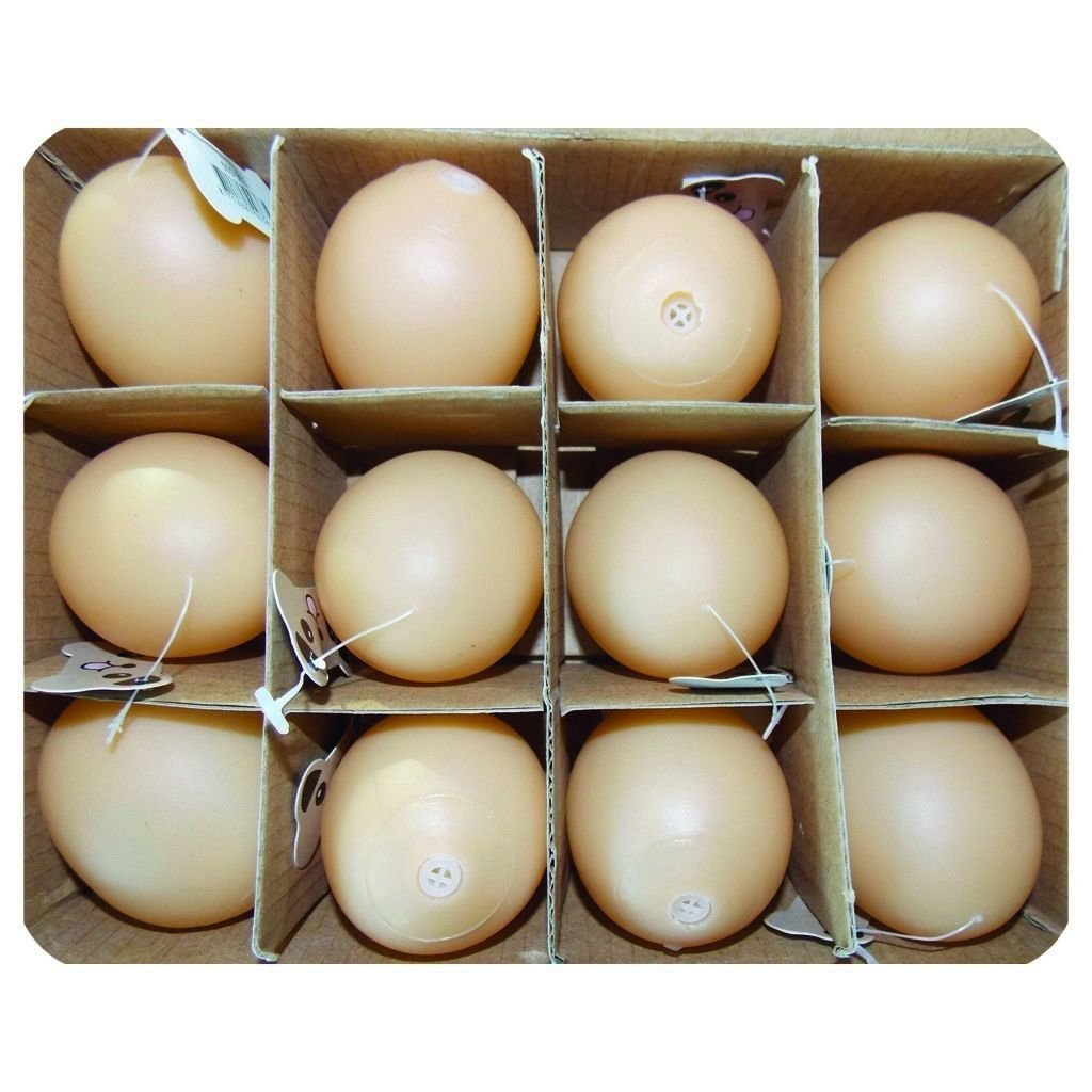 Eastland Plastik Yumurta Oyuncağı 12'li 5Cm
