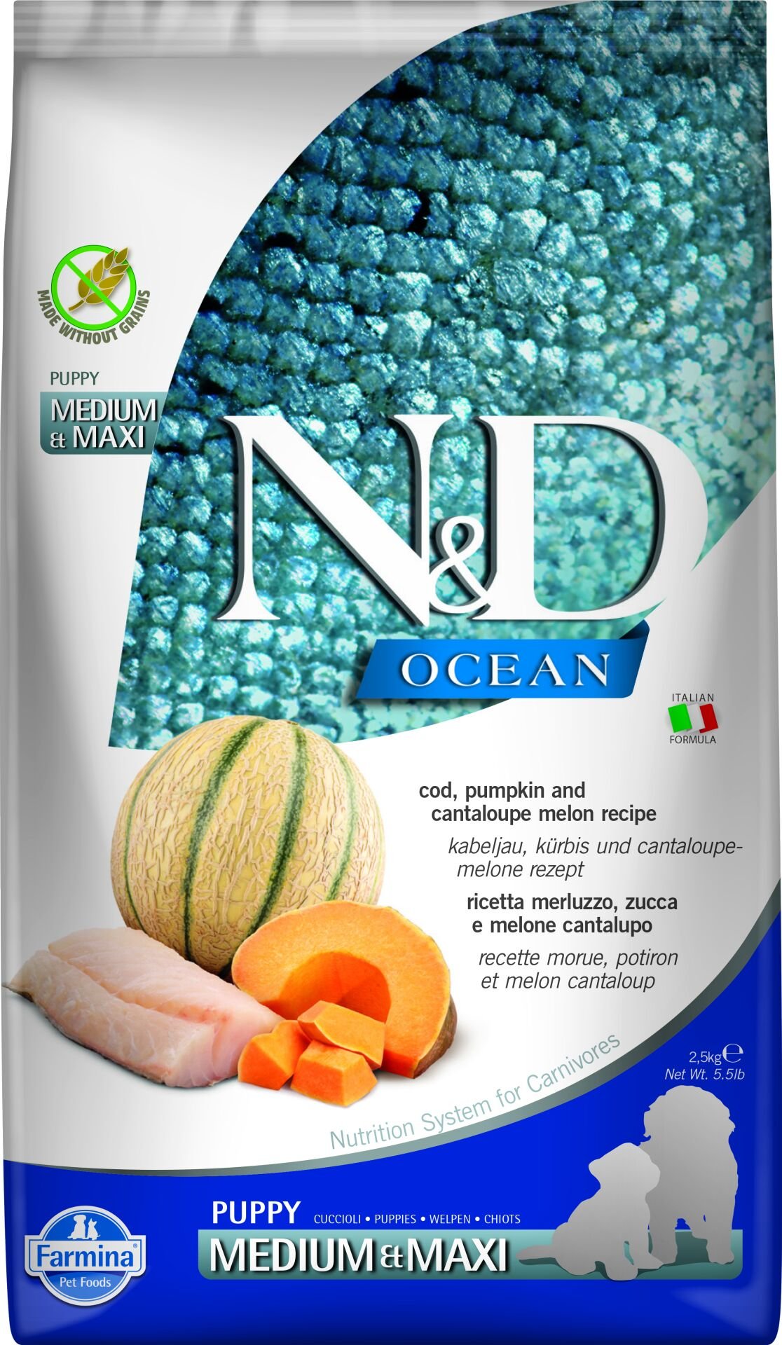 N&D Ocean Morina Balıklı Bal Kabaklı ve Kavunlu Orta ve Büyük Irk Tahılsız Yavru Köpek Maması 2,5 Kg