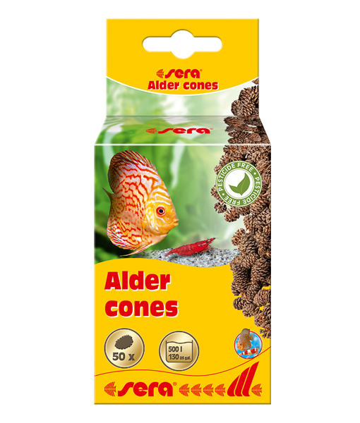 Sera Alder Cones Kızılağaç Kozalağı (50 Adet)