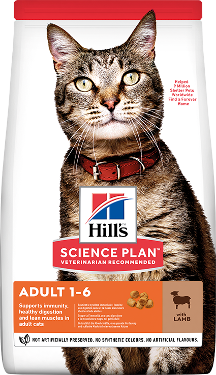 Hill's Adult Optimal Care Kuzu Etli Yetişkin Kedi Maması 10 Kg