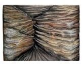 Kw Zone Renkli Mercan Desenli Akvaryum Arka Fon 60*5*45 Cm
