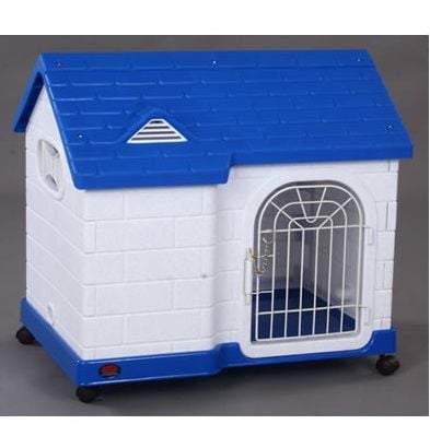 Dayang Kedi-köpek Kafes