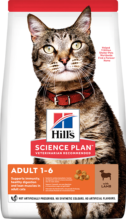 Hill's Adult Optimal Care Kuzu Etli Yetişkin Kedi Maması 1,5 Kg